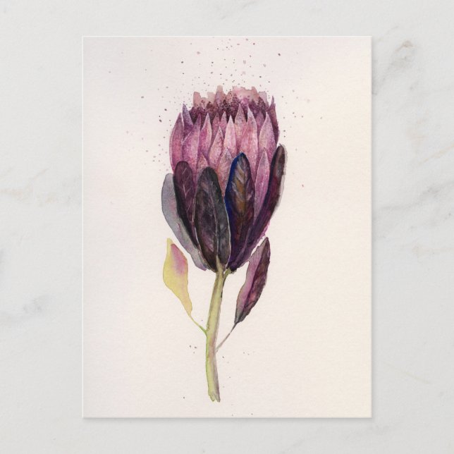 Watercolor Protea Postcard (Front)