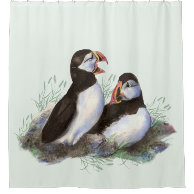 Watercolor Puffin Bird Family Light Green bkground (Front)