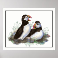 Watercolor Puffin Ocean Bird art