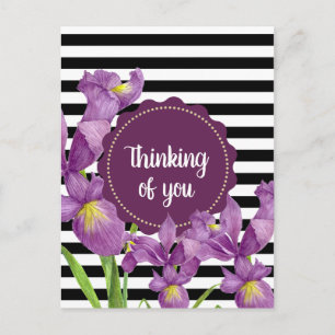 Watercolor Purple Iris Black White Stripes Pattern Postcard