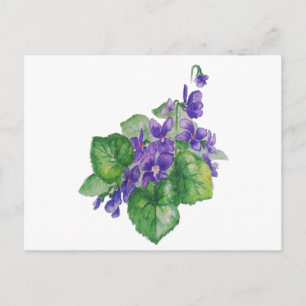 Watercolor Purple Violet Flower Floral Art Postcard