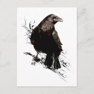 Watercolor Raven Bird Animal Art Postcard