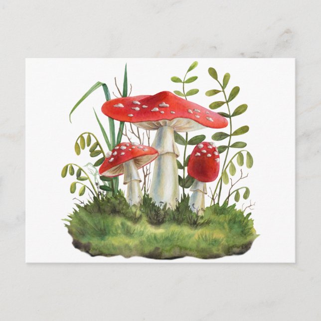 Watercolor Red Wild Forest Mushrooms Postcard (Front)