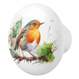 Watercolor Robin On A Branch Ceramic Knob