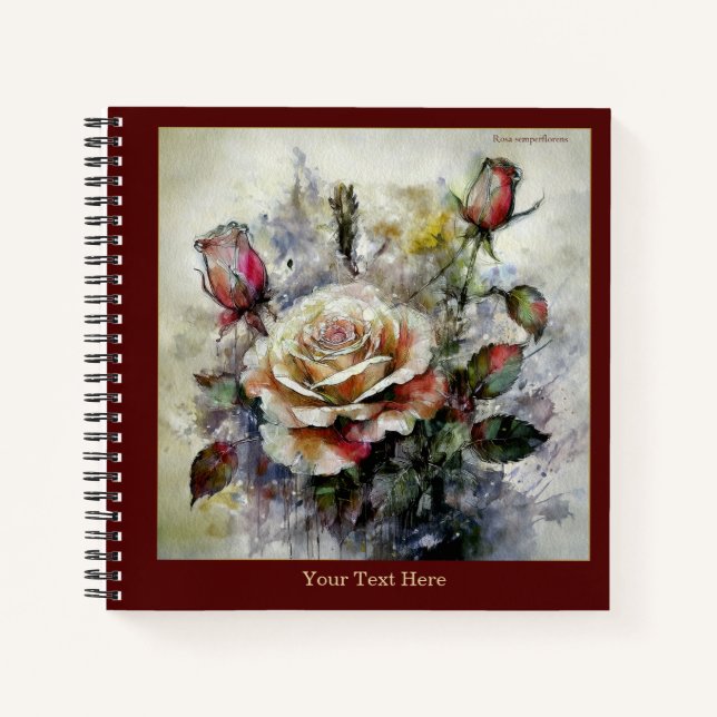 Watercolor Rosa semperflorens Notebook (Front)