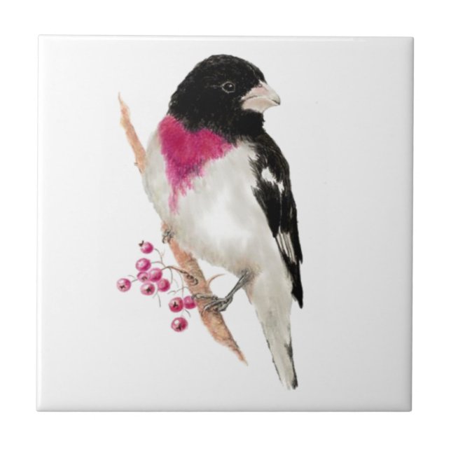 Watercolor Rose Breasted Grosbeak Bird Wildlife Tile (Front)