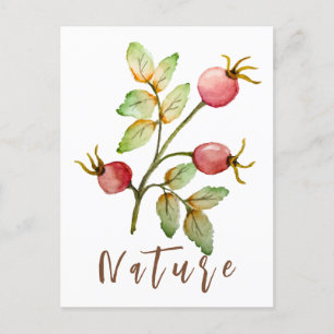 Watercolor rose hips postcard