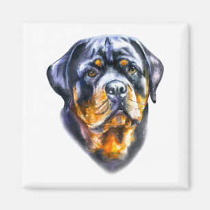 Watercolor Rottweiler Magnet