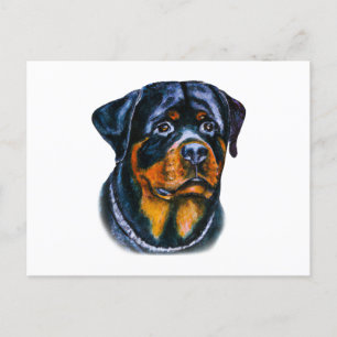 Watercolor Rottweiler Postcard