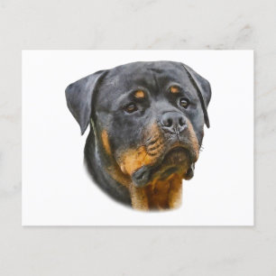 Watercolor Rottweiler Postcard