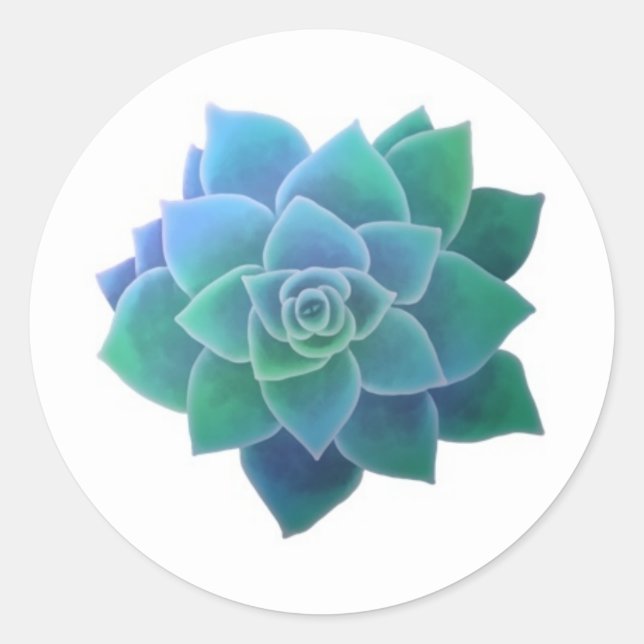 Watercolor Round Succulents Sticker (Front)