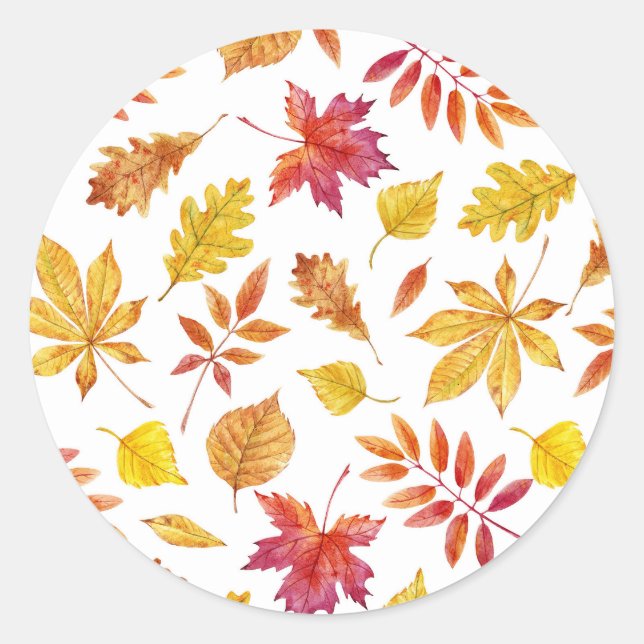 Watercolor Rustic Autumn Leaves Pattern Classic Round Sticker (Front)