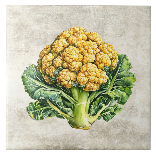 Watercolor Rustic Cauliflower Faux Texture  Tile (Front)