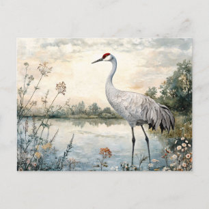 Watercolor Sandhill Crane on a Pond Postcard