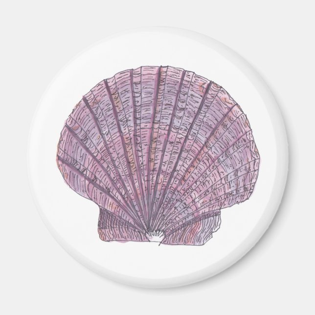 Watercolor Seashell Magnet (Front)