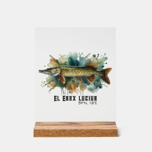 Watercolor Series: Pike Acrylic Sign