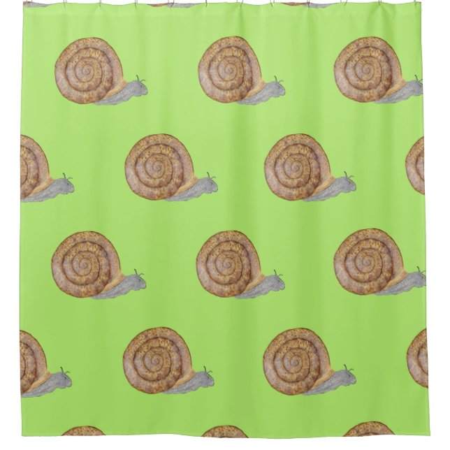 Watercolor Snail (Front)