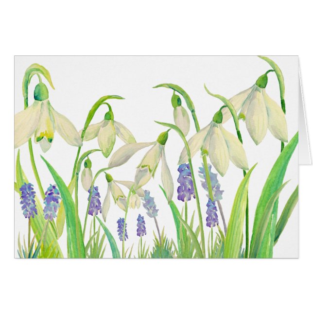 Watercolor Snowdrops and Muscari (Front Horizontal)
