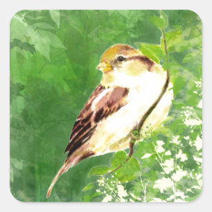 Watercolor Song Sparrow Bird in Forest Art Square Sticker
