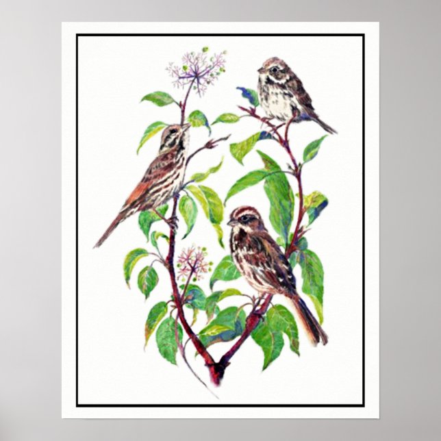 Watercolor Sparrow Birds on Dogwood Art Poster (Front)
