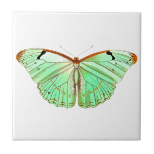 Watercolor Spring Butterfly Tile