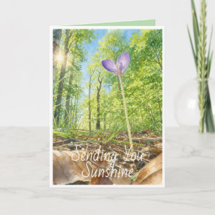 Watercolor Spring Forest Crocus Custom Greeting Ca Card