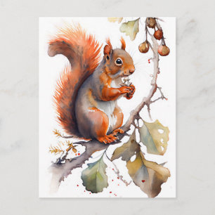 Watercolor Squirrel Eating Nuts Postcard