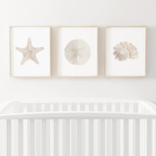 Watercolor Starfish Sand Dollar Sea Shell Beach
