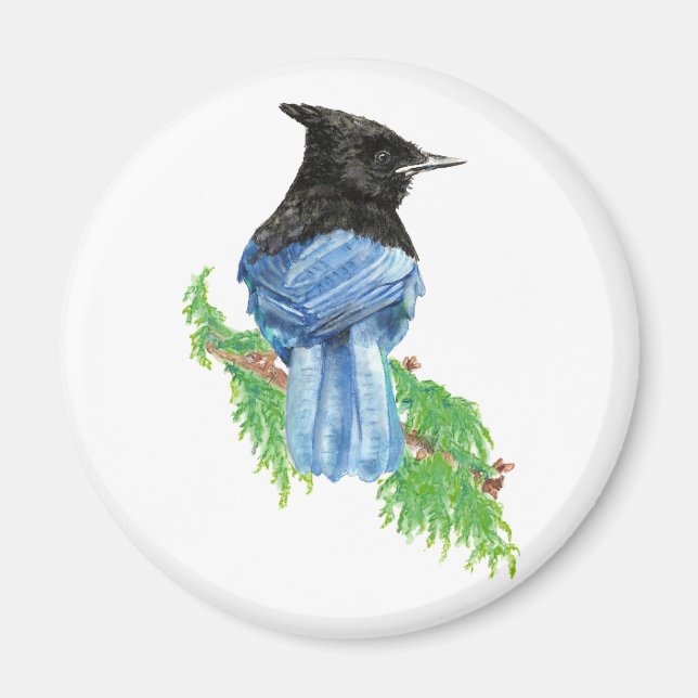 Watercolor Stellar Jay, Bird, Nature Collection Magnet (Front)