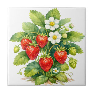 Watercolor Strawberries and Berry Blossom  Tile