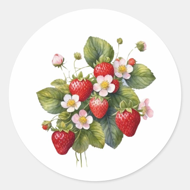 Watercolor Strawberry Fruit with Flowers  Classic Round Sticker (Front)