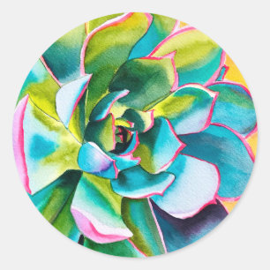 Watercolor succulent botanical classic round sticker