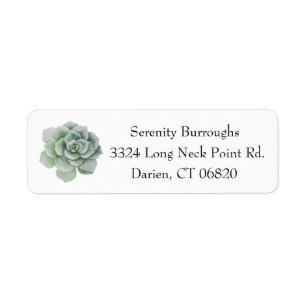 Watercolor Succulent Cactus Mint Green