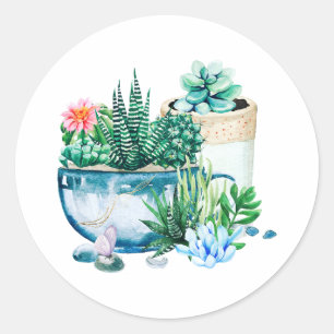 Watercolor Succulent Plants in the Pots    Classic Round Sticker