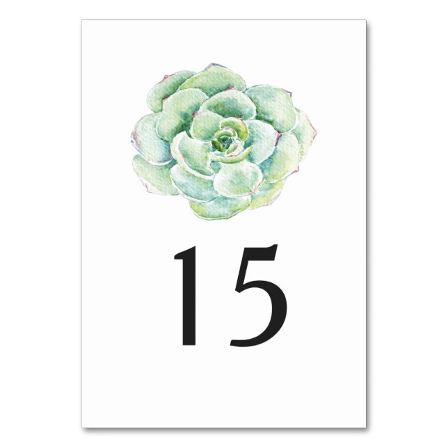 watercolor succulent wedding table number (Front)