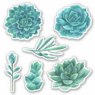 Watercolor succulents. Blue cactus. Teal cacti
