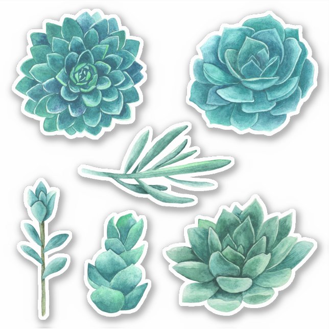 Watercolor succulents. Blue cactus. Teal cacti (Front)