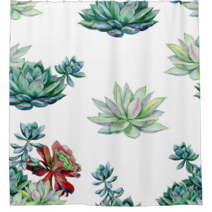 Watercolor succulents seamless pattern, echeveria