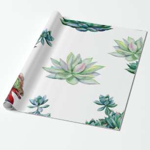 Watercolor succulents seamless pattern, echeveria wrapping paper