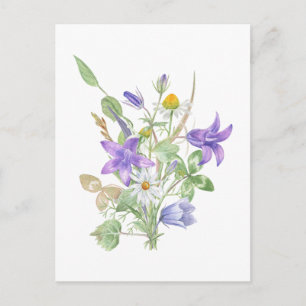 Watercolor Summer Flowers Postcard