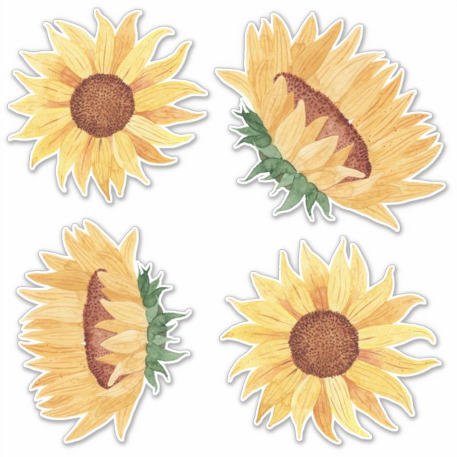 Watercolor Sunflowers (Front)