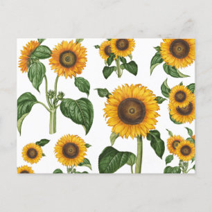 Watercolor Sunflowers Botanical Foliage Greenery Holiday Postcard