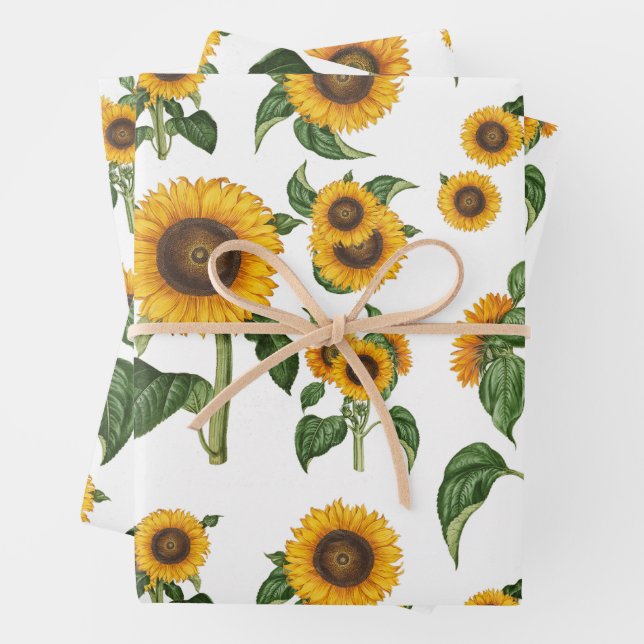 Watercolor Sunflowers Botanical Foliage Greenery Wrapping Paper Sheet (In situ)