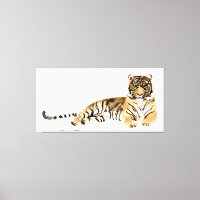 Watercolor Tiger Resting