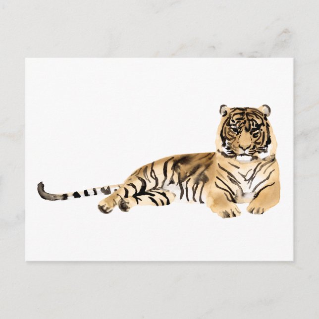 Watercolor Tiger Resting Postcard (Front)