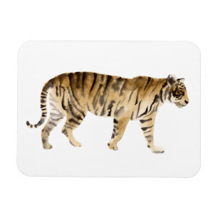 Watercolor Tiger Walking Magnet