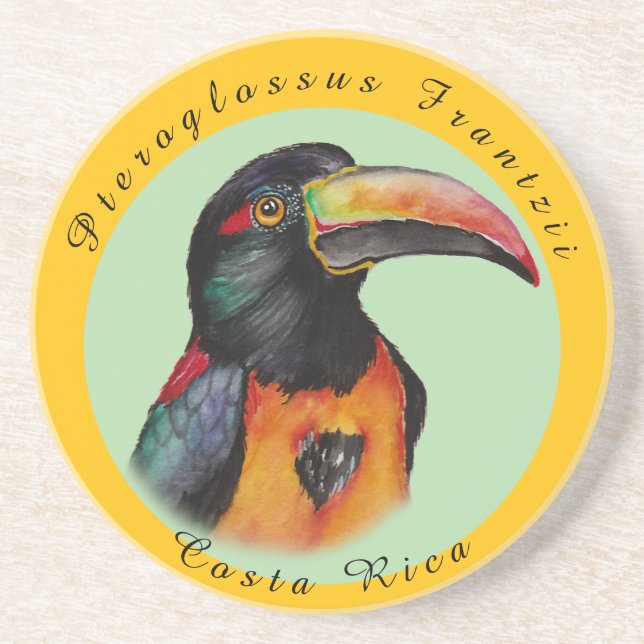 Watercolor toucan coaster (Front)