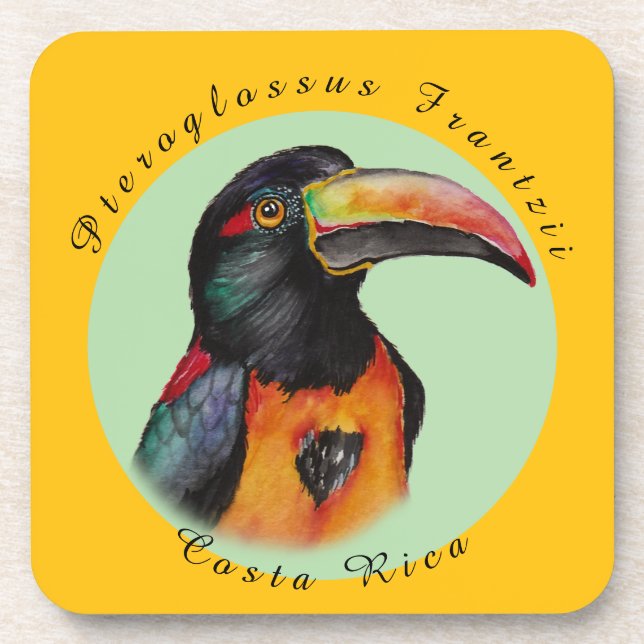 Watercolor toucan coaster (Front)
