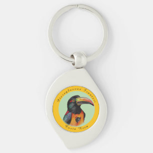 Watercolor toucan keychain