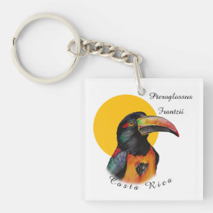 Watercolor toucan keychain